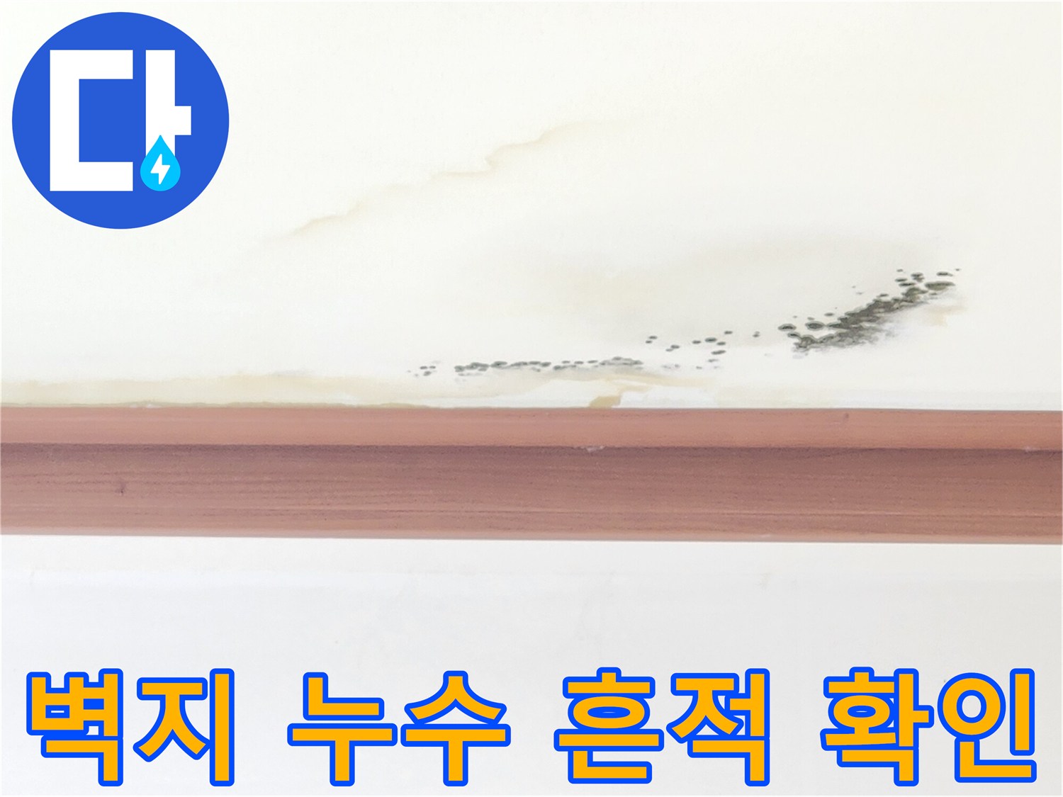 천장 벽면의 누런 물얼룩 및 검은 곰팡이 발생 부위
