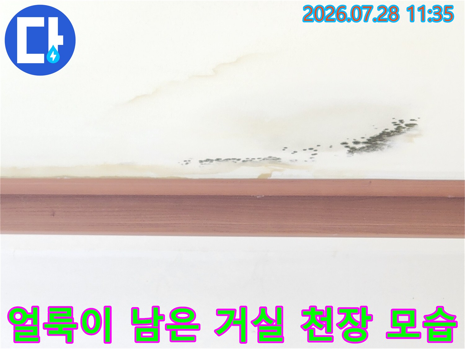 천장에 발생한 곰팡이와 물자국으로 인한 피해 상황