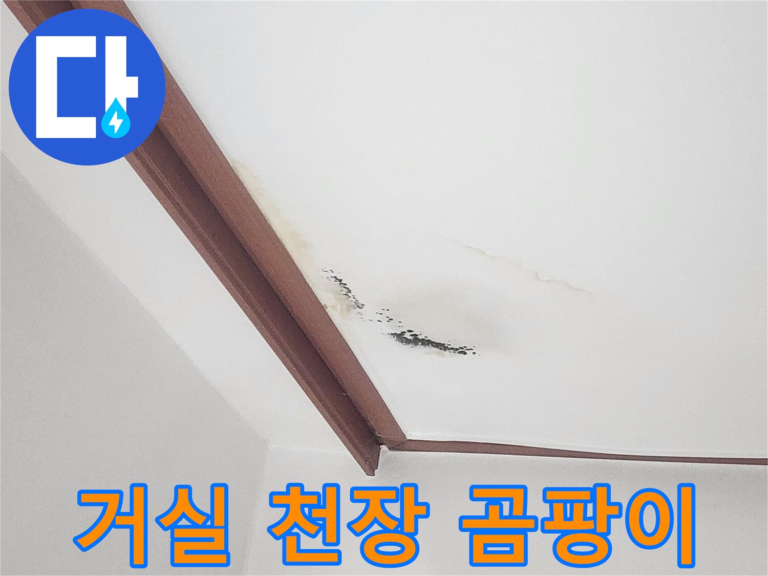 흰색 벽지에 나타난 갈색 물 얼룩과 검은 곰팡이 부위