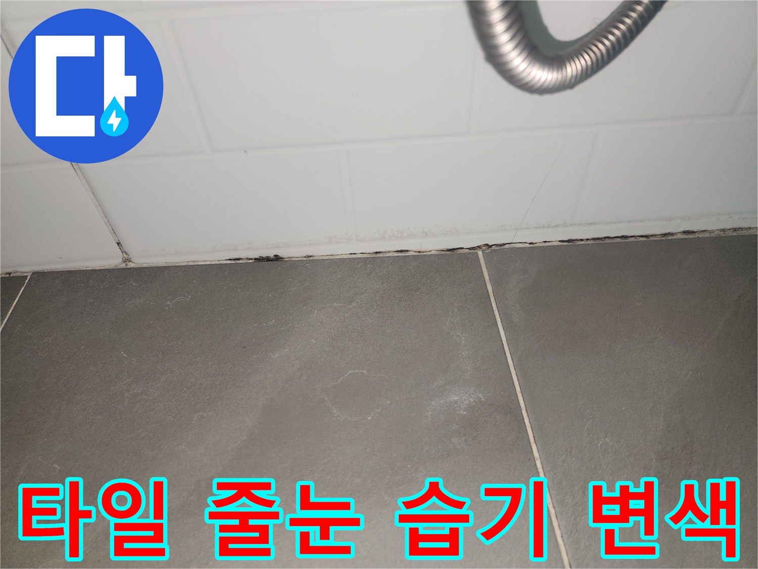습기로 인해 어둡게 변한 타일 경계선 부위