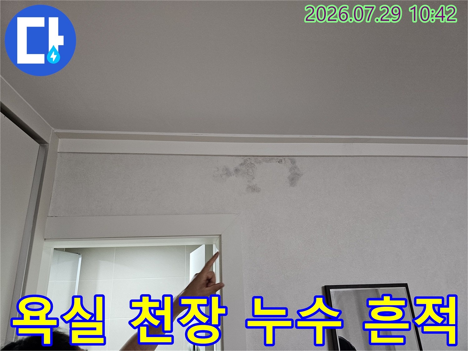 천장 벽면 경계 부위에 발생한 곰팡이성 얼룩과 습기 피해