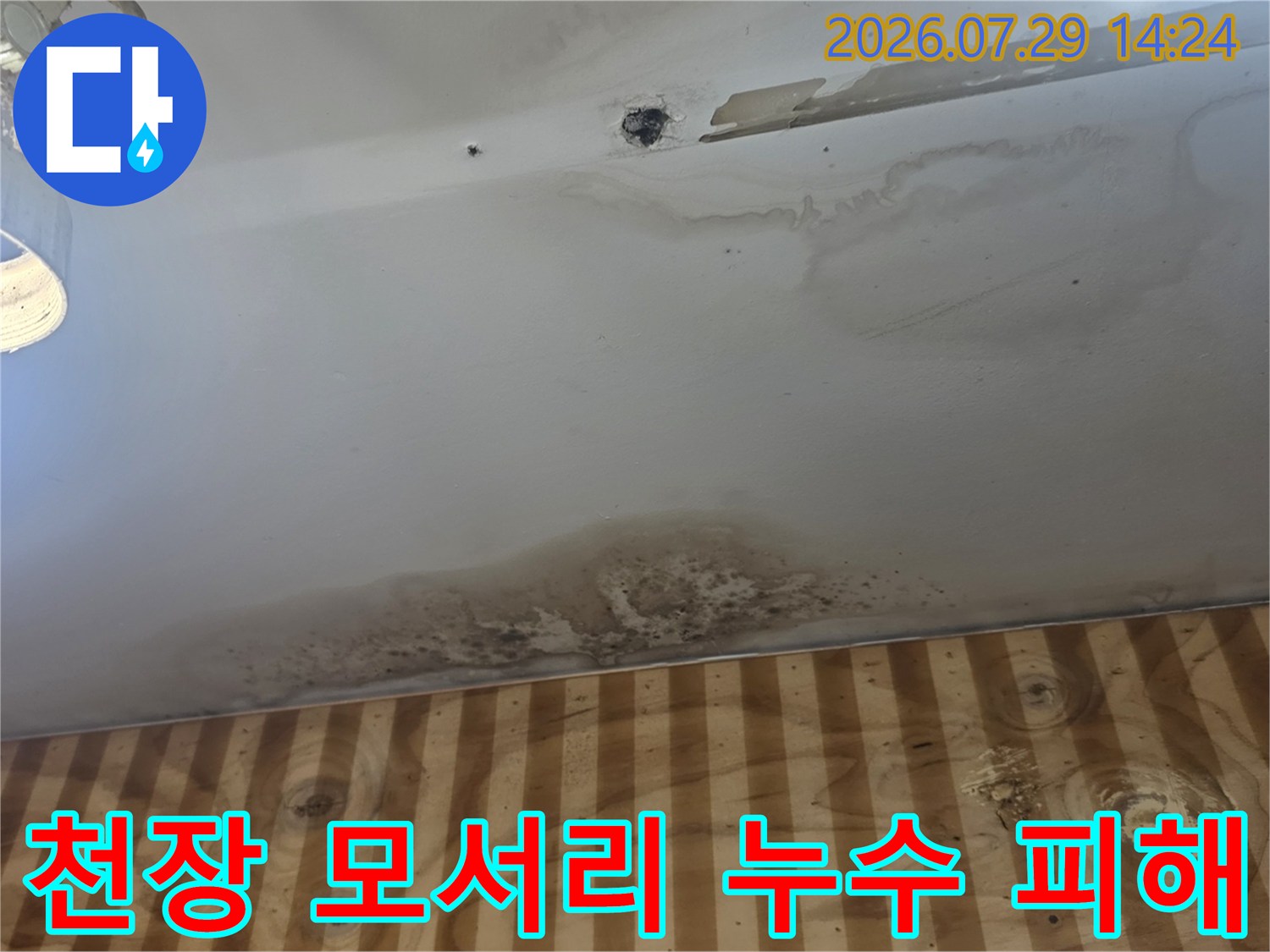 벽면과 천장의 경계부에서 발생한 곰팡이와 물자국