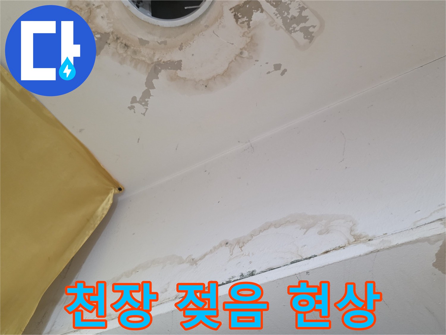 천장 조명 부근-물샘으로 인해 변색된 벽지와 곰팡이 흔적