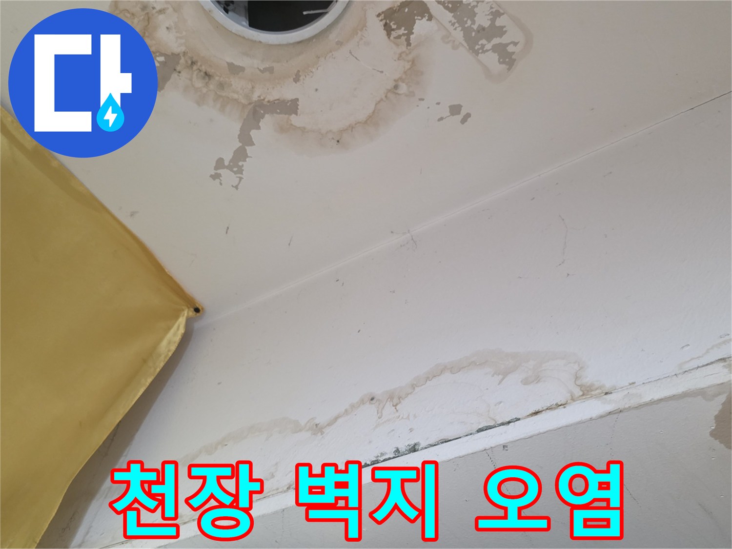 천장 조명 주변-번져 있는 누수 얼룩과 젖은 벽지