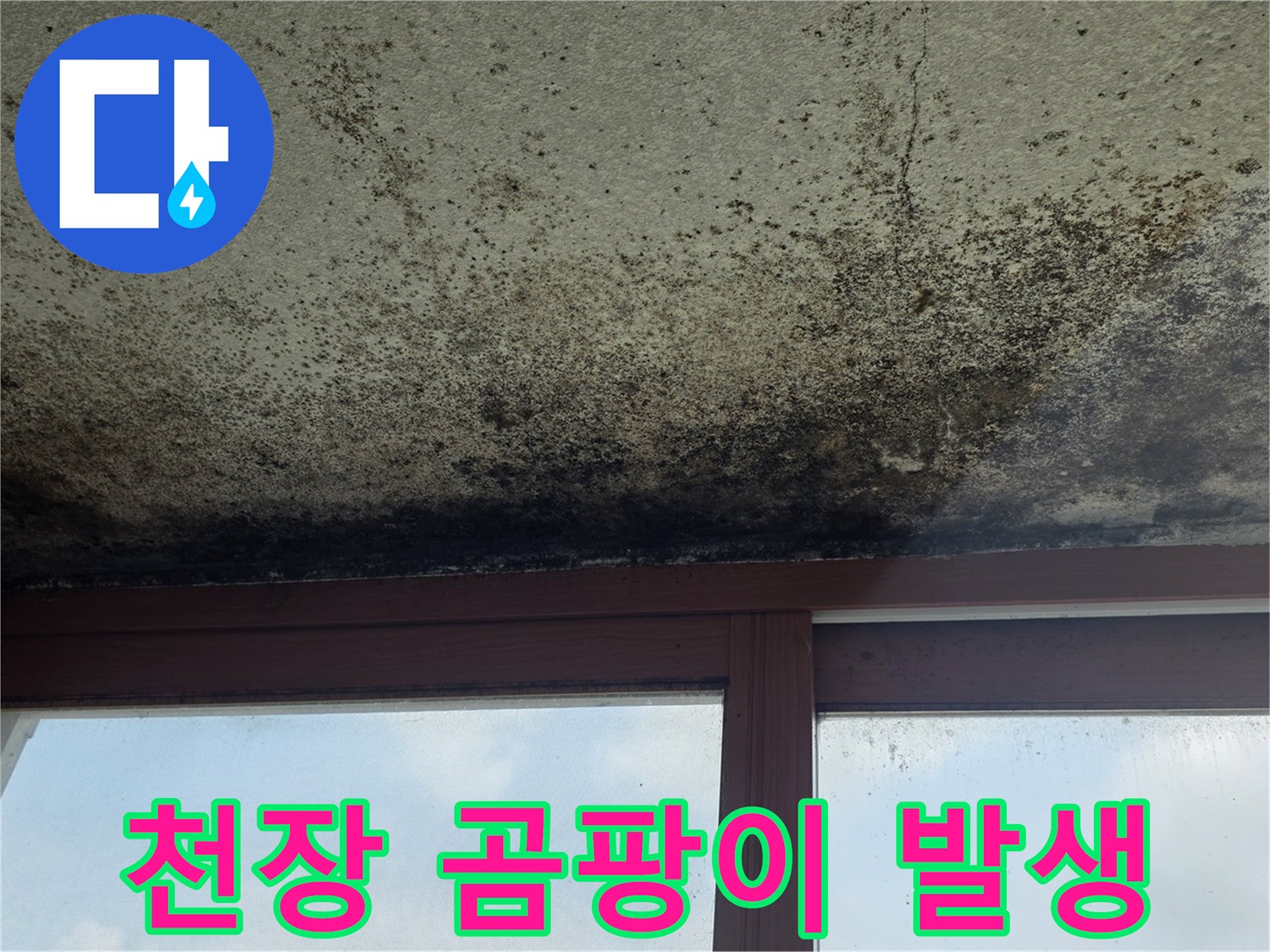 누수로-인한-천장-마감재의-검은색-얼룩과-곰팡이