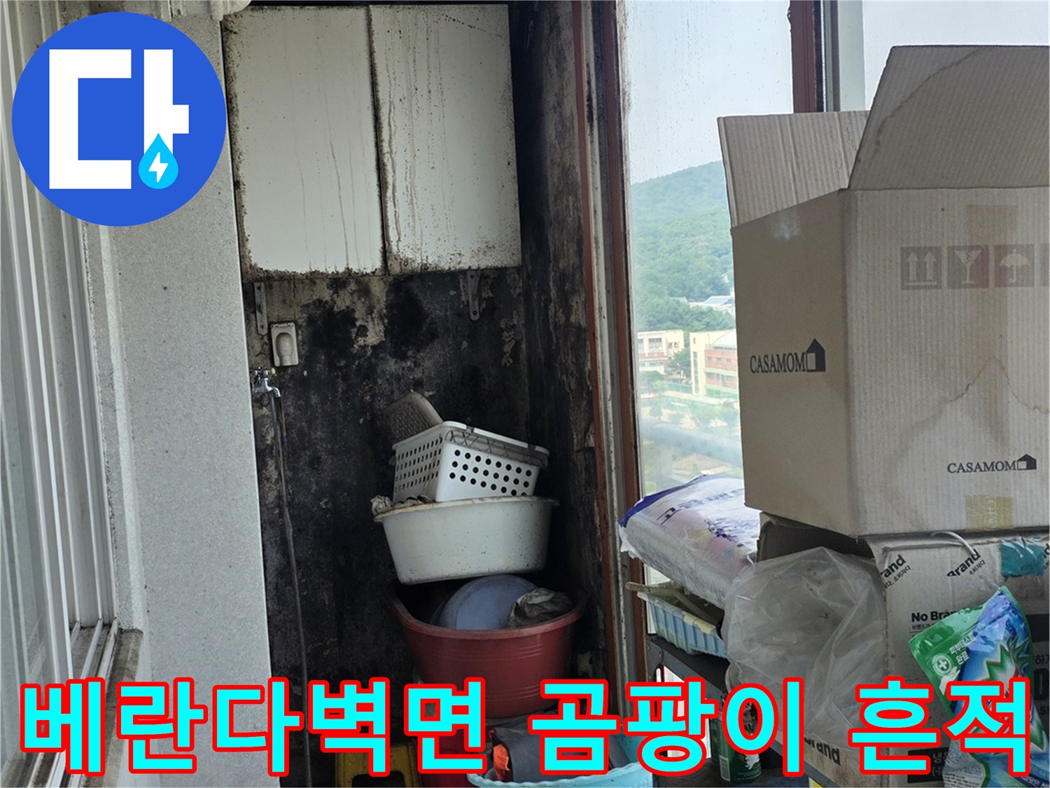 양주 아파트 베란다 벽면에 발생한 검은색 곰팡이와 습기 자국