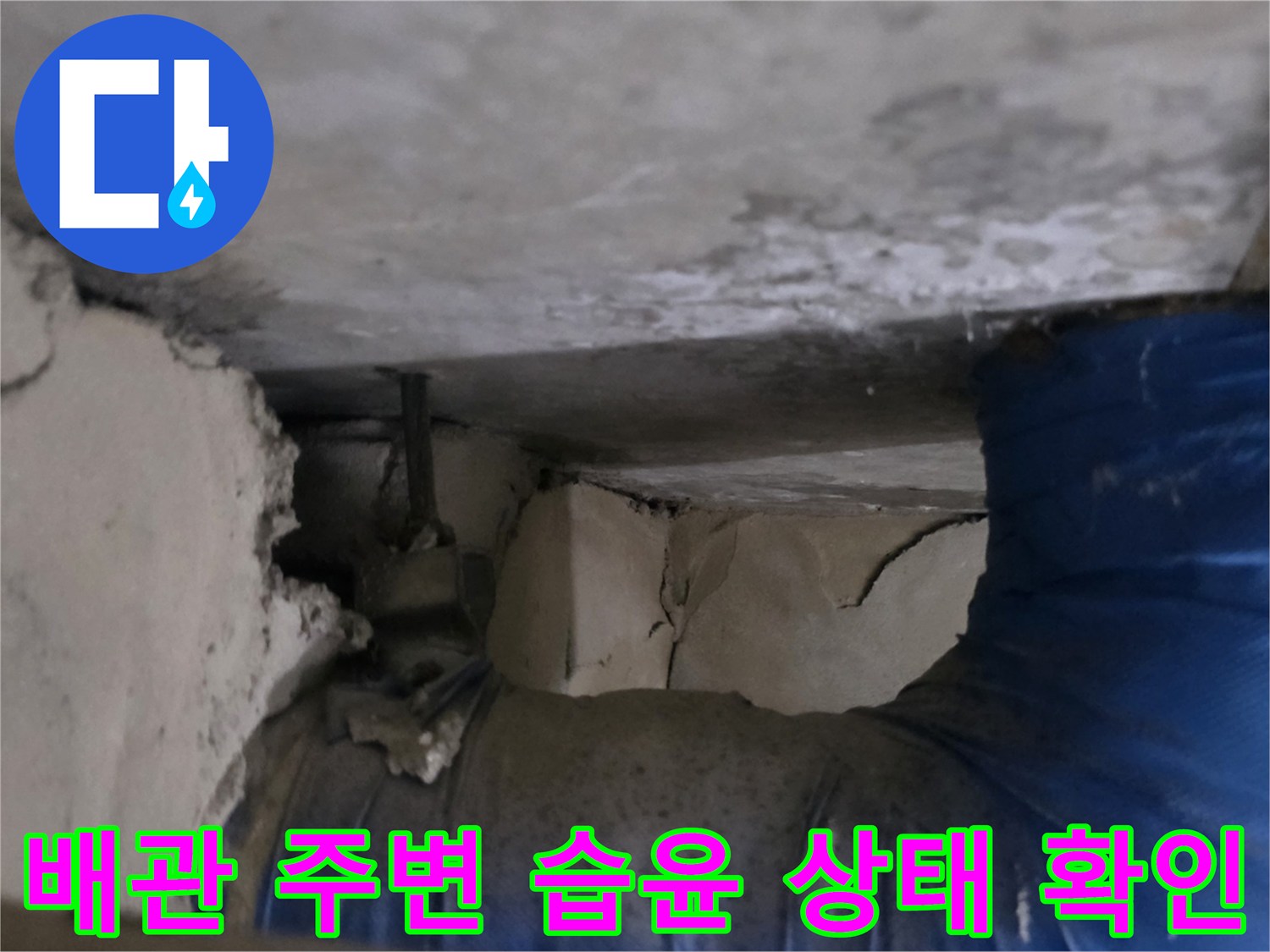 습기로 젖은 천장 구조물과 파란색 배관 피복