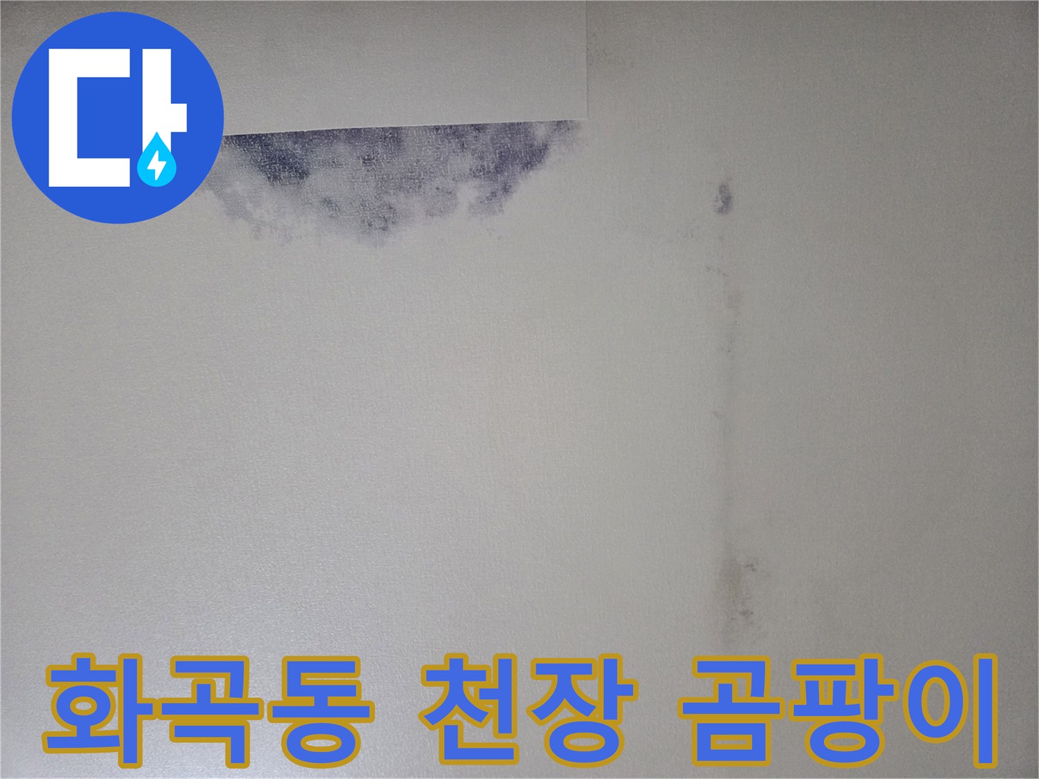 강서구 화곡동-아파트 천장 벽지 변색 및 곰팡이 상태