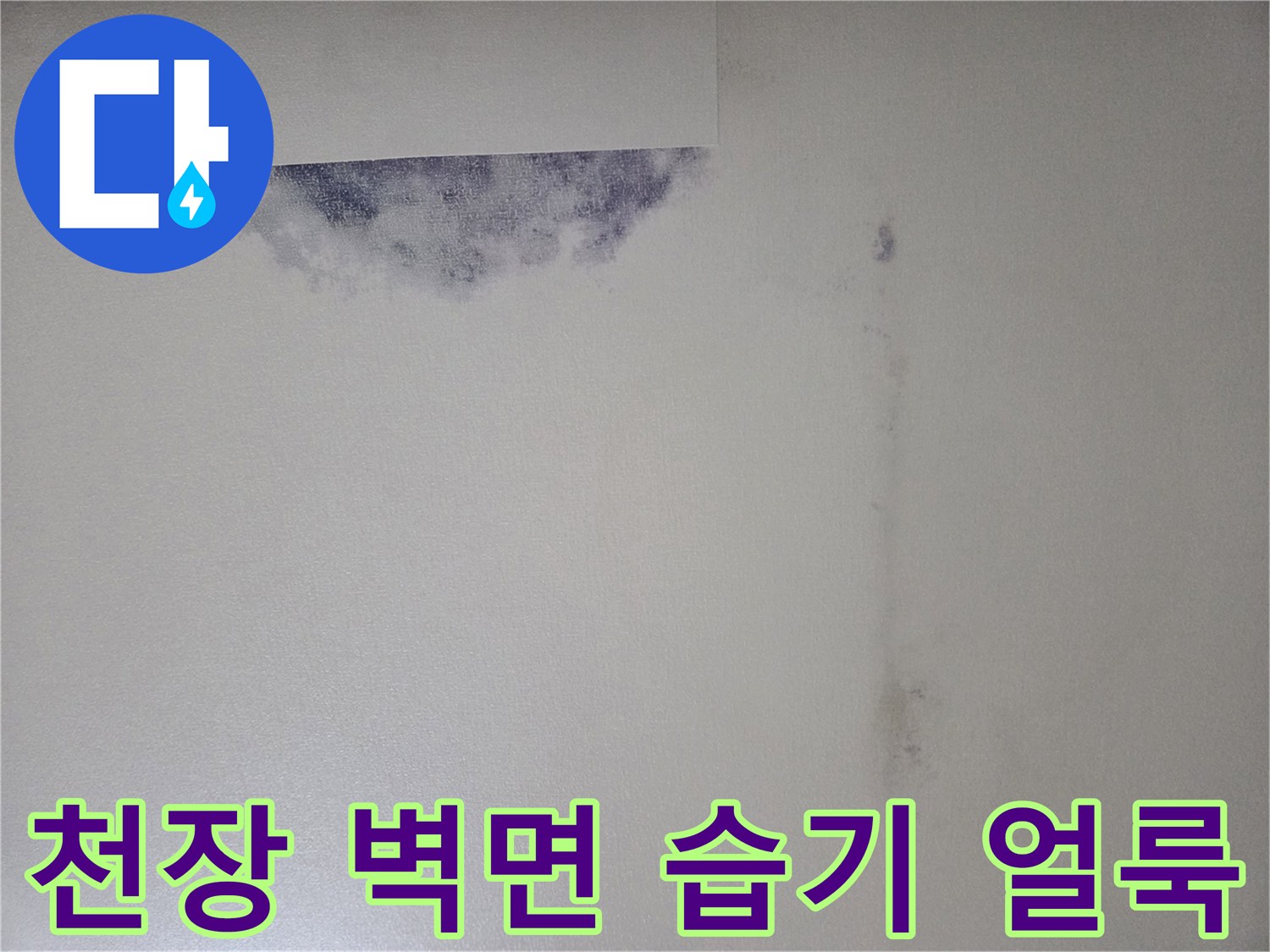 습기로 인해 검게 변한 천장 도배지 상태