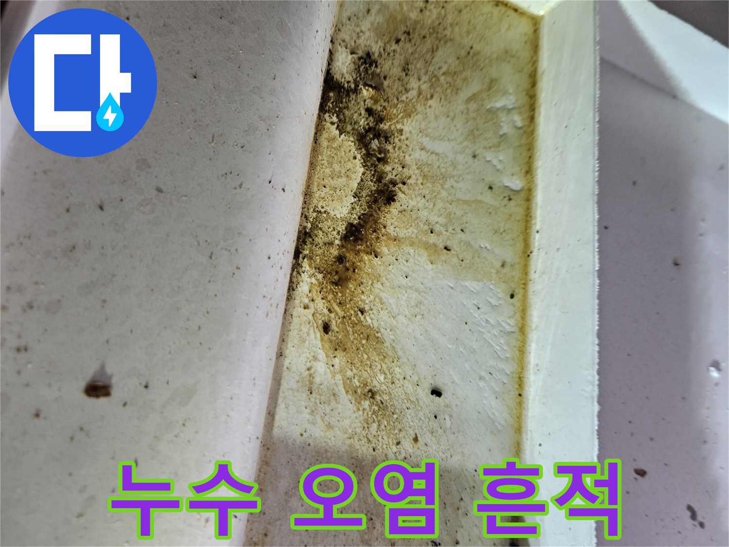 천장-내부의-물샘-흔적과-곰팡이-오염