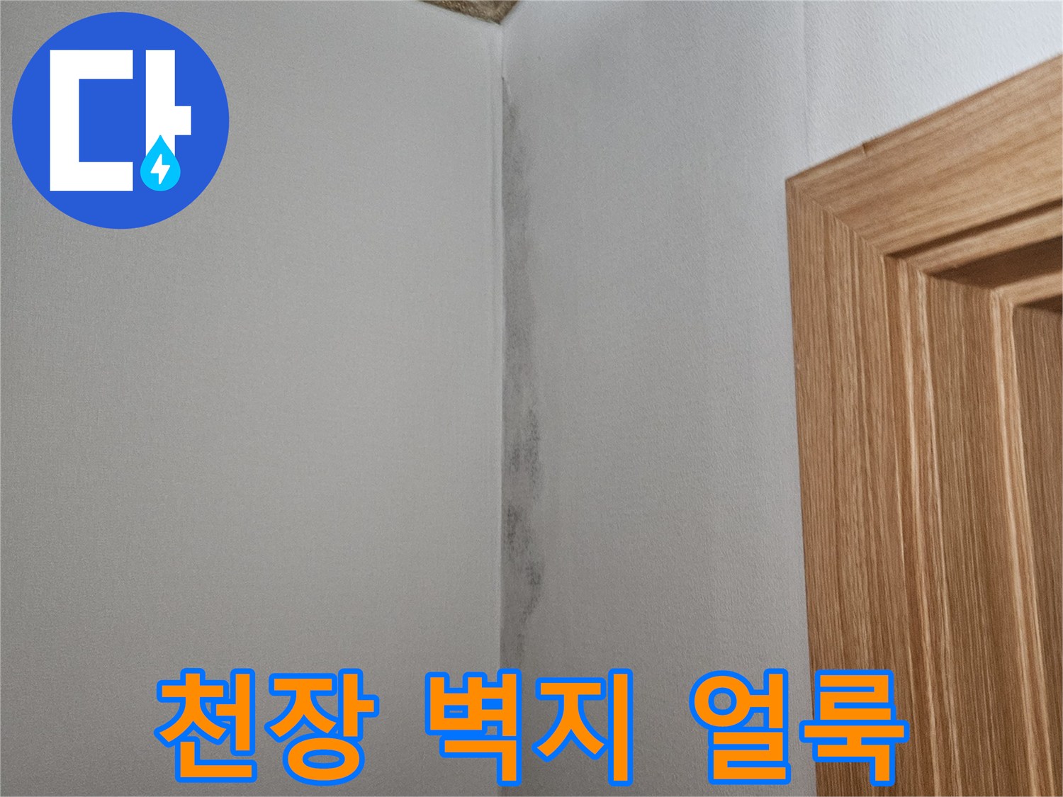 화곡동 아파트 천장-벽지 경계면에 발생한 곰팡이와 습기 흔적