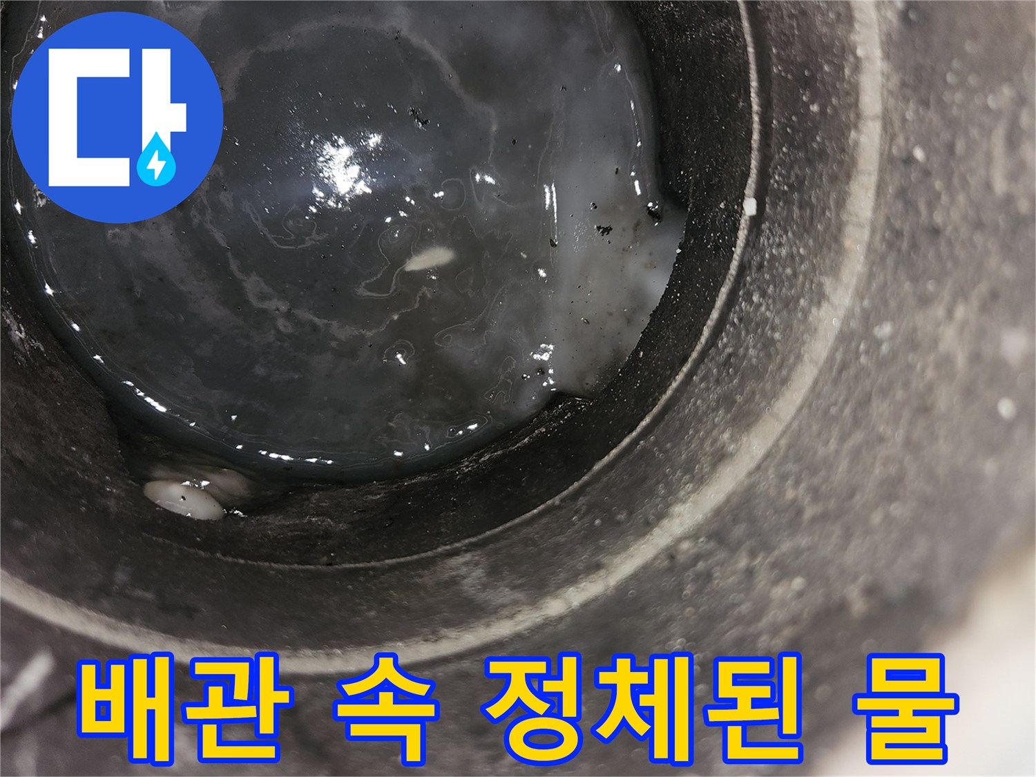 에어컨 드레인 내부-흐르지 못하고 고여 있는 응충수