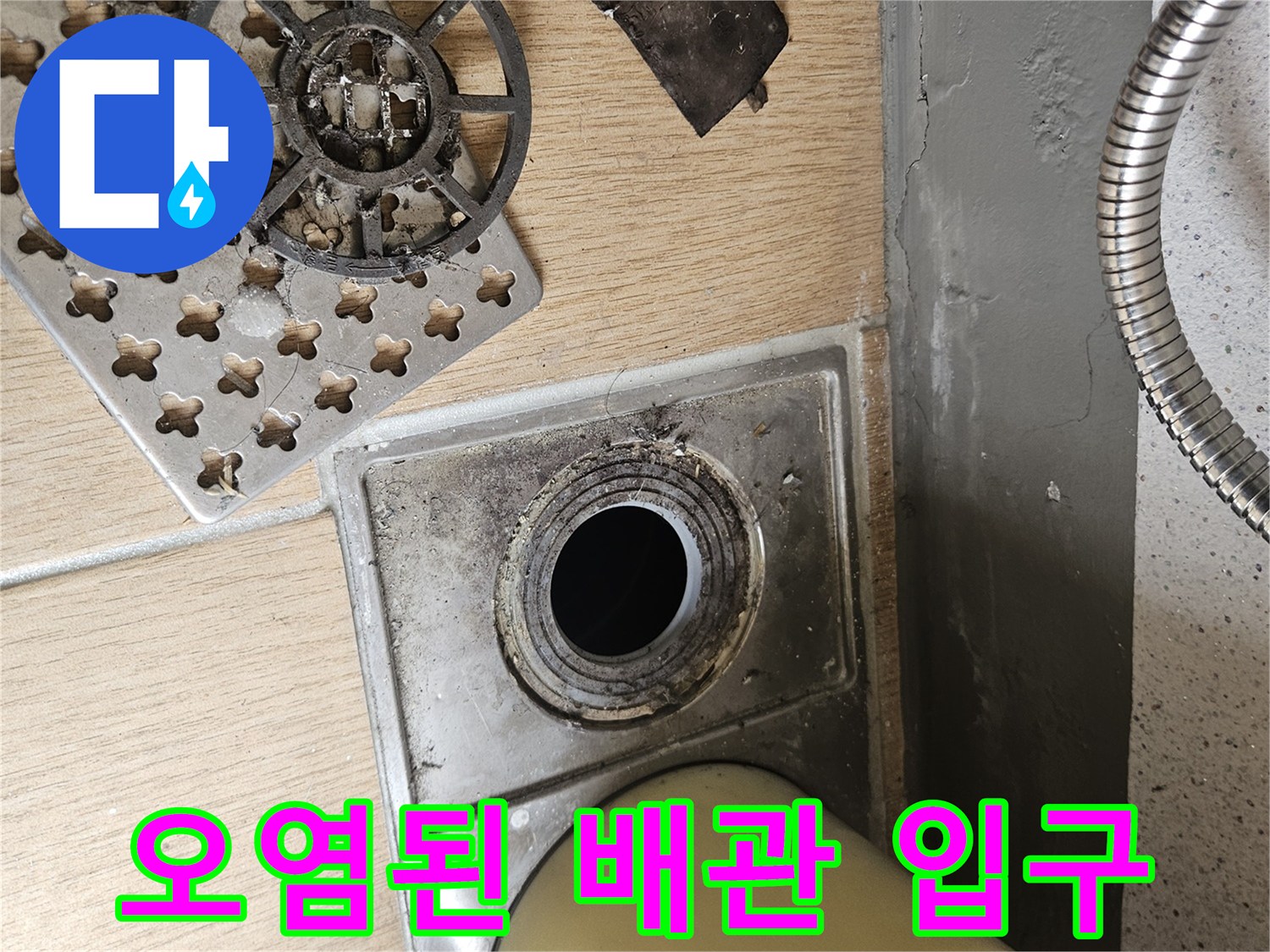 이물질로-가득한-배수구-입구와-분리된-거름망