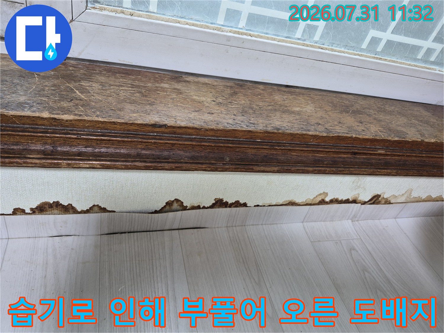 벽 하단부의 수분 침투로 인한 곰팡이 및 마감재 훼손 상태 모습