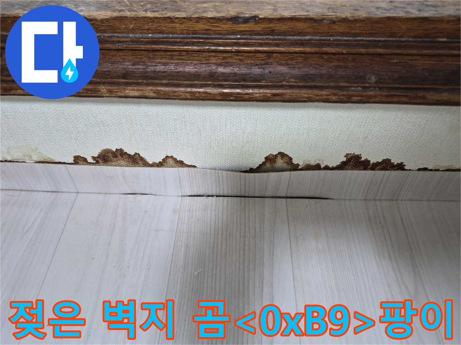 벽지 하단부-습기로 인해 부식된 마감재 상태
