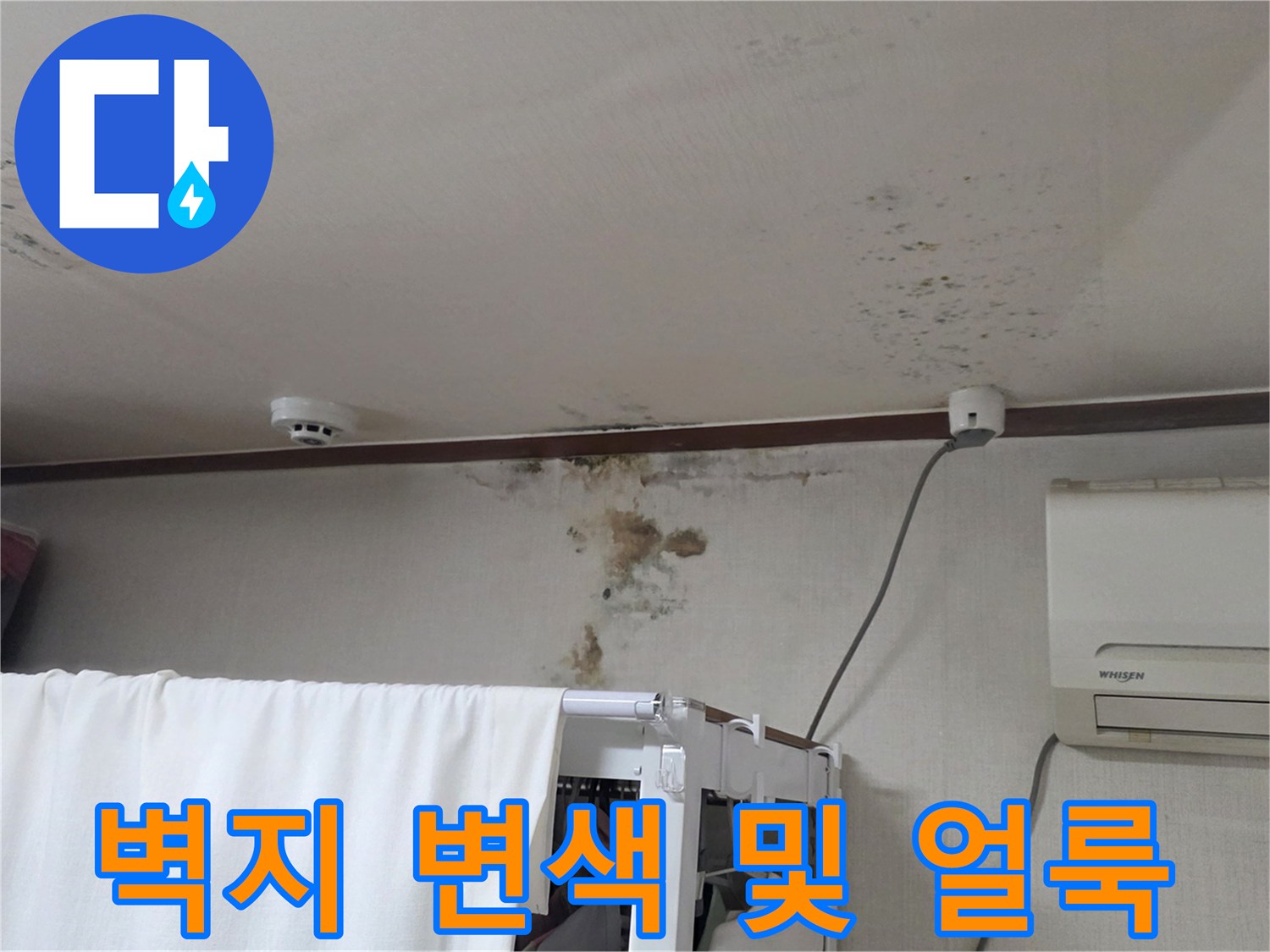 구미동 건물 내부-천장면의 누수 흔적과 곰팡이 부위