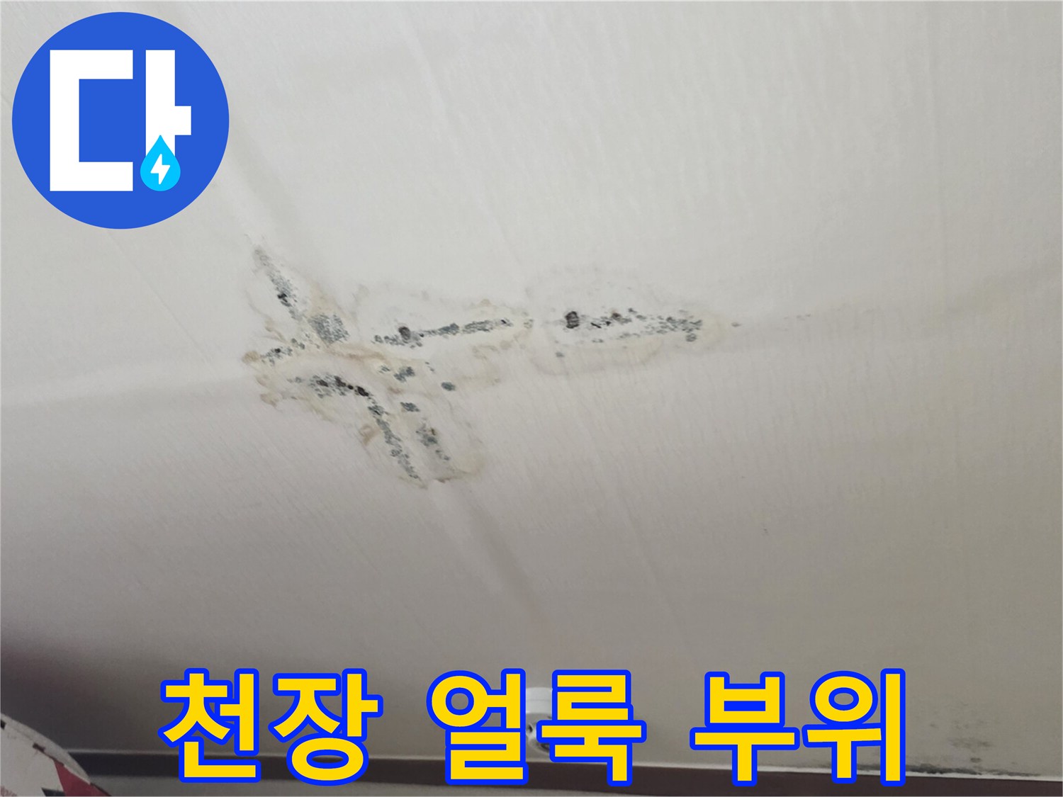 천장 벽면의 누수 흔적과 곰팡이 발생 지점