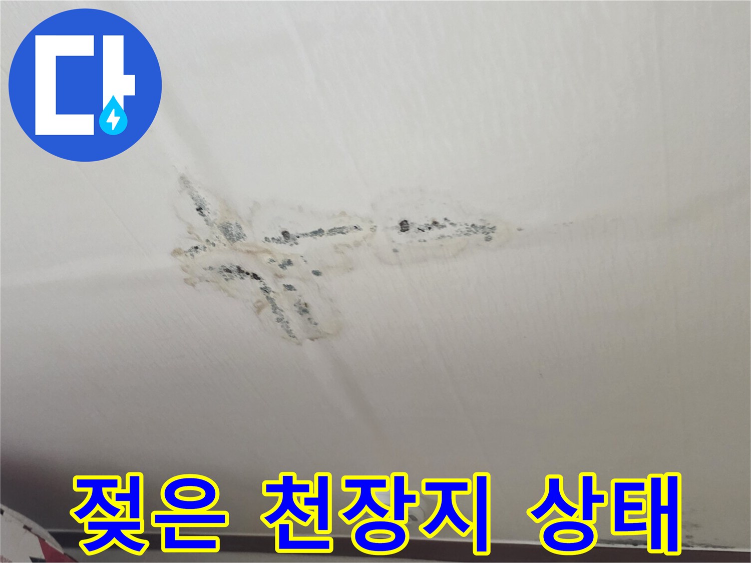 천장 벽지가 물에 젖어 변색된 모습 - 누수 지점 추정