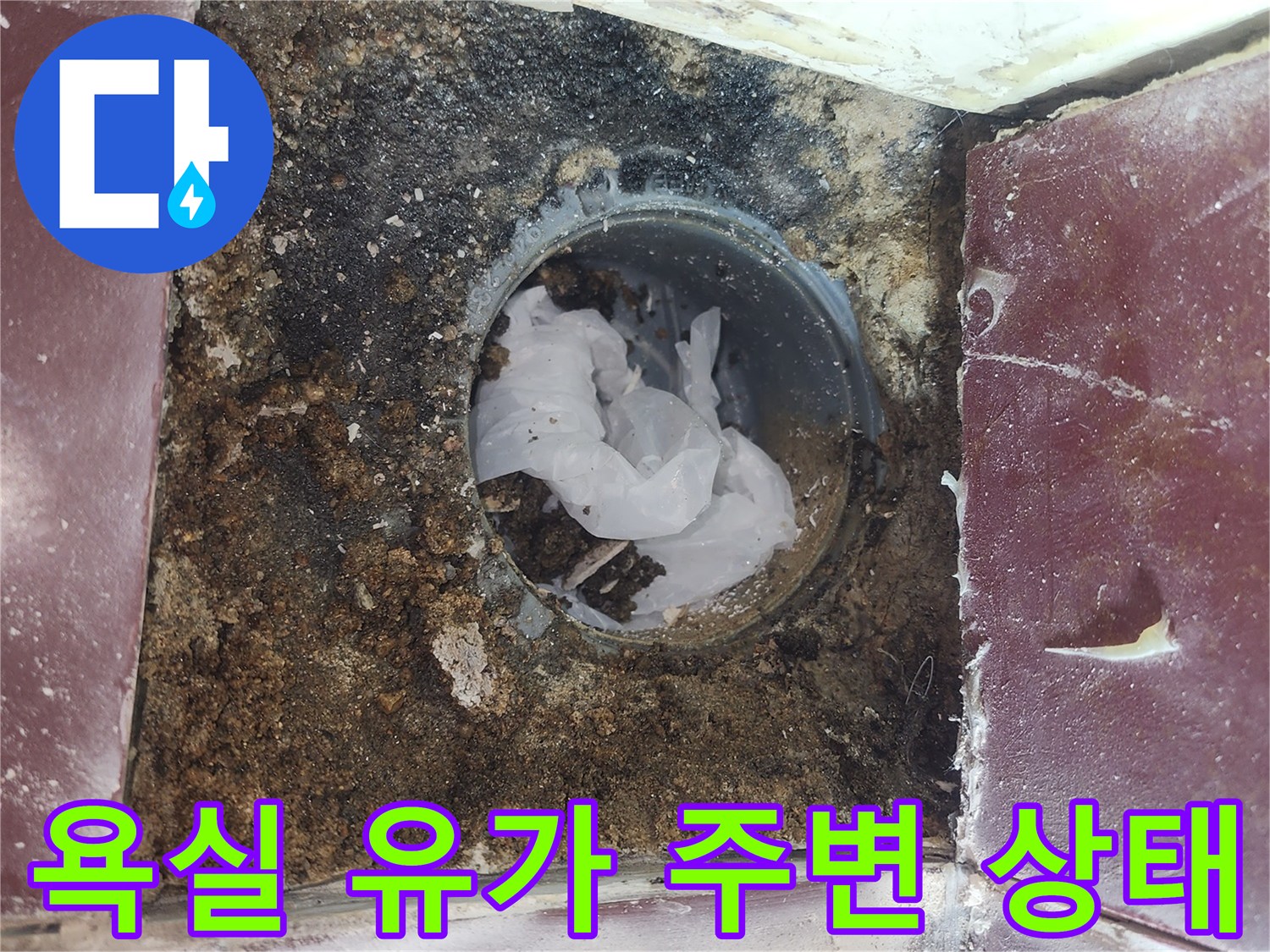 양천구 화장실-배수구 주변의 오염과 방수층 손상 상태