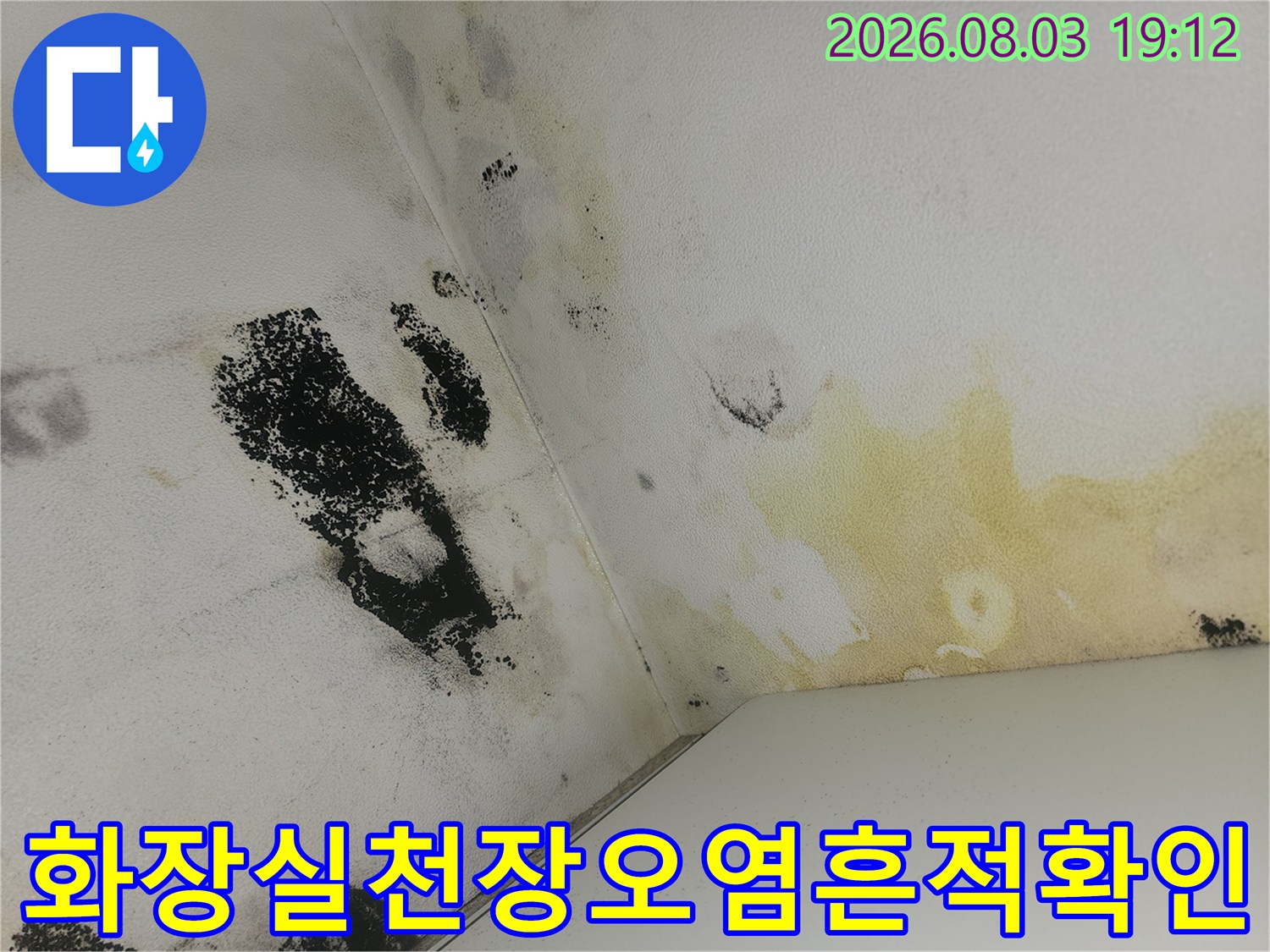 화장실 천장 콘크리트에 발생한 누수로 인한 오염과 곰팡이