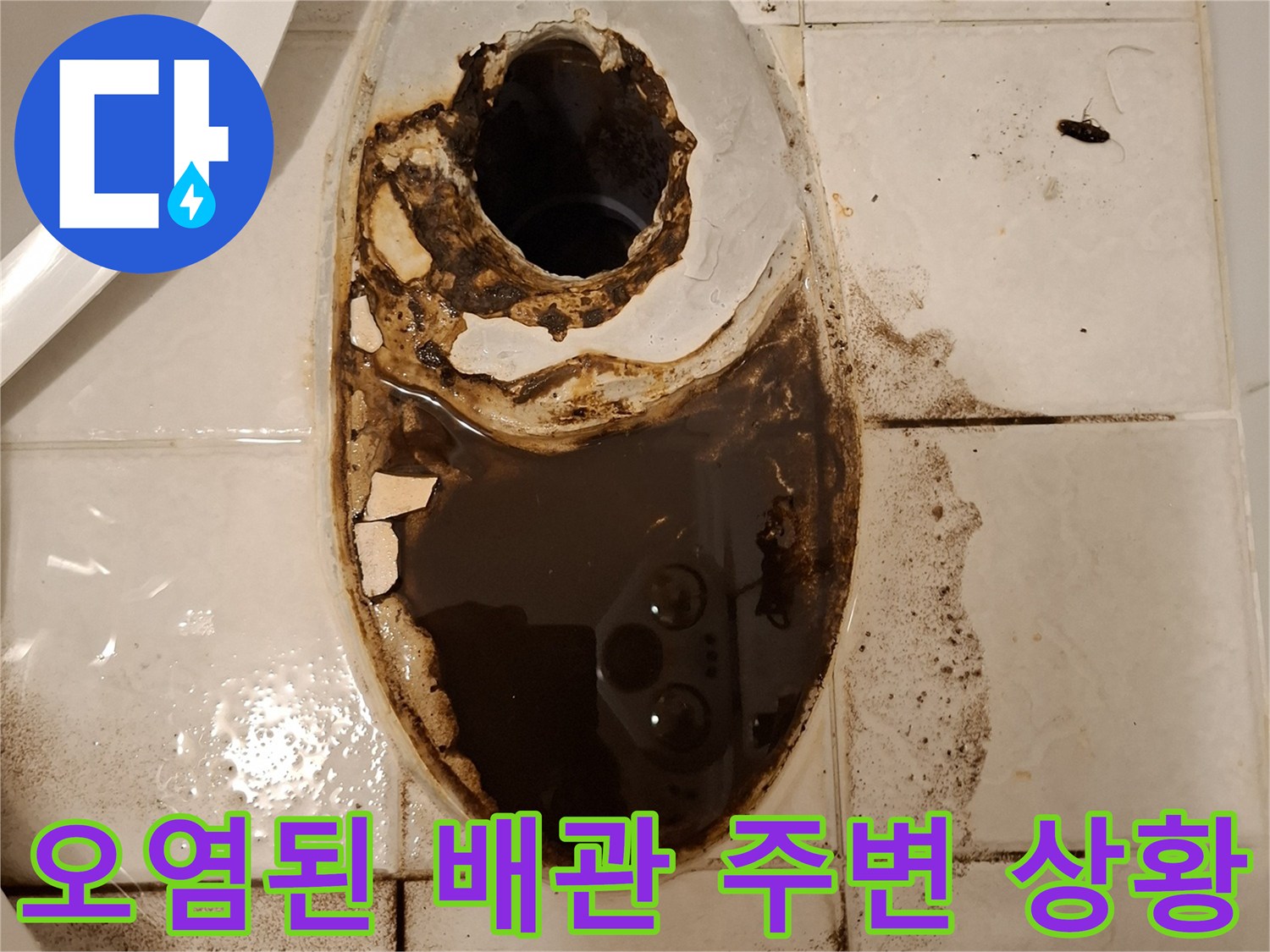 배관 주위로 검게 변한 타일과 오물 침투 흔적