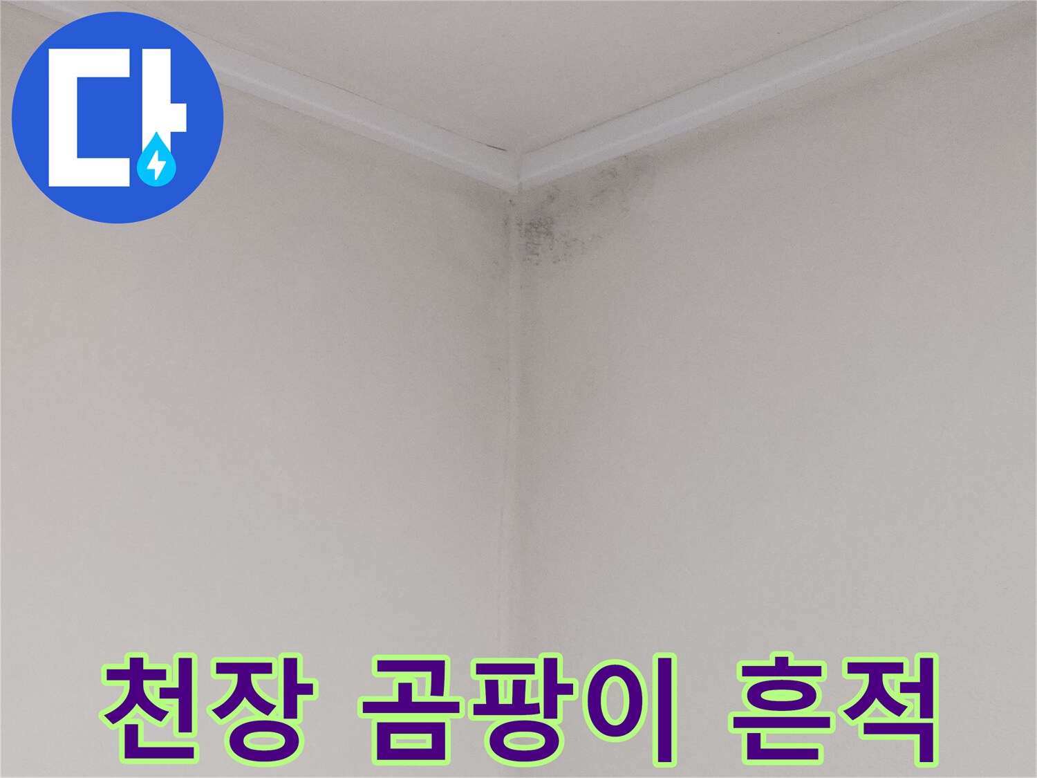 아래층 천장 구석의 곰팡이 및 물기 자국