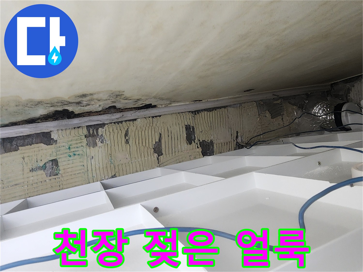 오염된 천장 내부-습기와 곰팡이가 발생한 슬라브