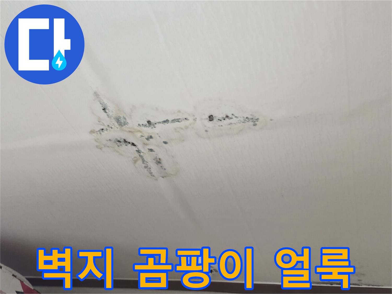 구미동 현장 사진-천장 벽지에 발생한 누수 및 곰팡이 흔적