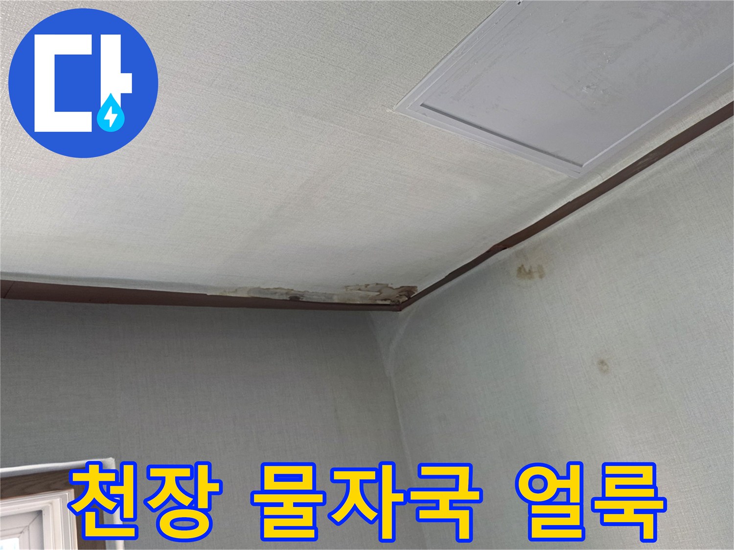분당 구미동 아파트-천장 벽지 젖음 현상