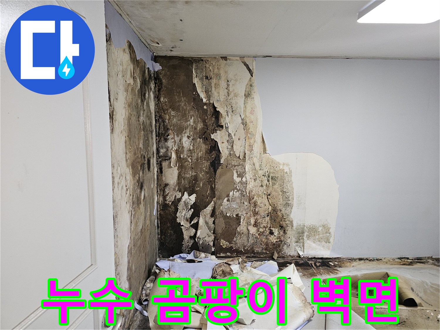 물샘 현상이 지속되어 곰팡이가 발생한 화장실 내부