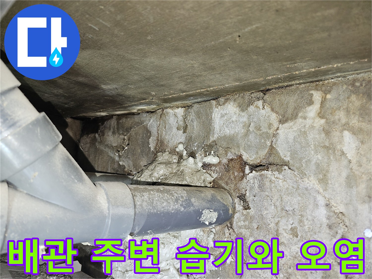 오염된-하수관-연결-부위와-젖은-벽면