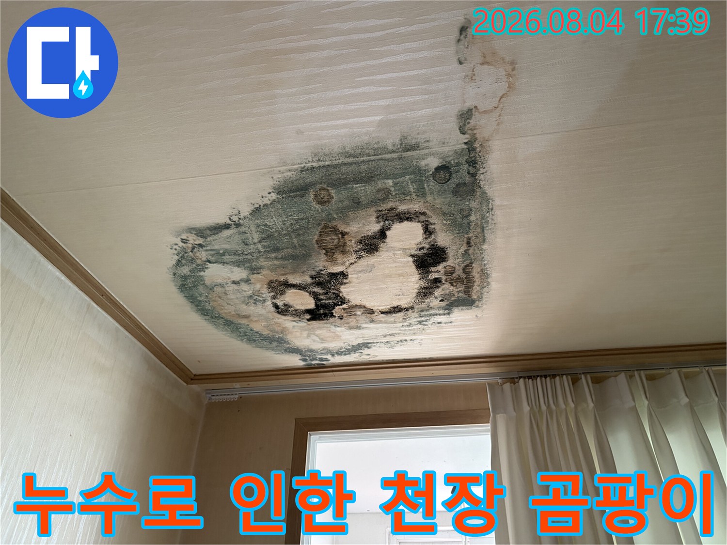 심각한 누수 흔적과 곰팡이가 발생한 아파트 내부 실내 천장