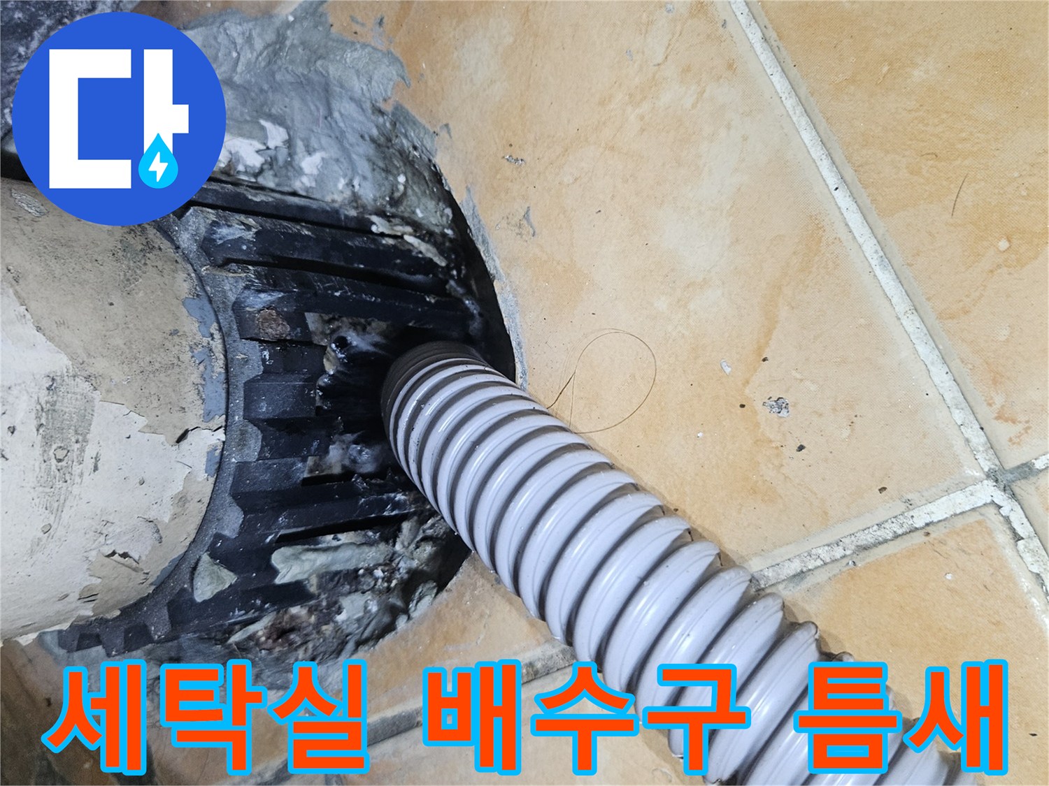 성북구-아파트-세탁실-배수구-유가-주변-누수-흔적-관찰