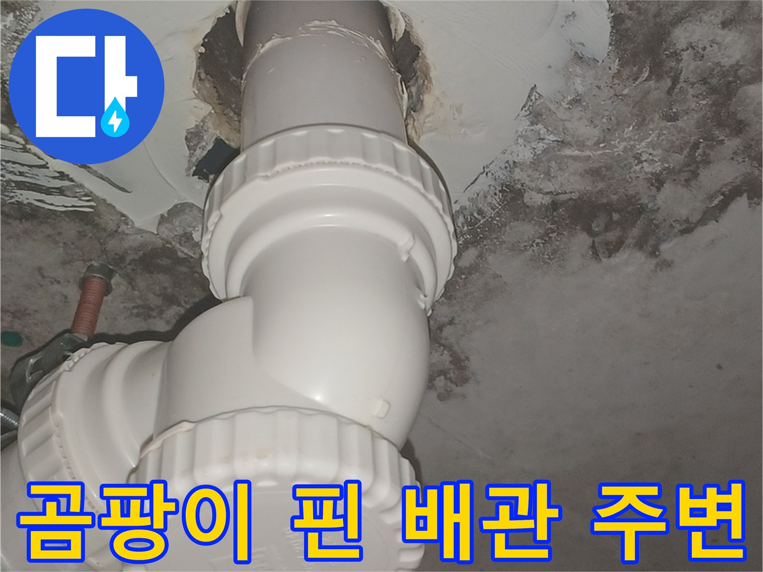 천장 배관-주변부의 심각한 곰팡이 오염