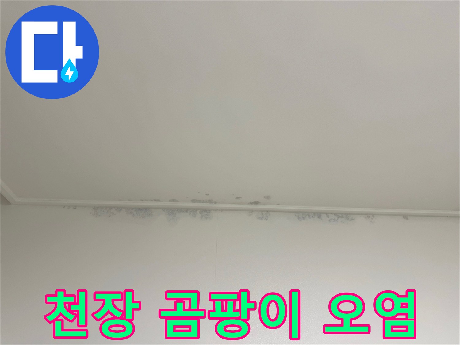 천장-가장자리에-번진-검은색-곰팡이-얼룩