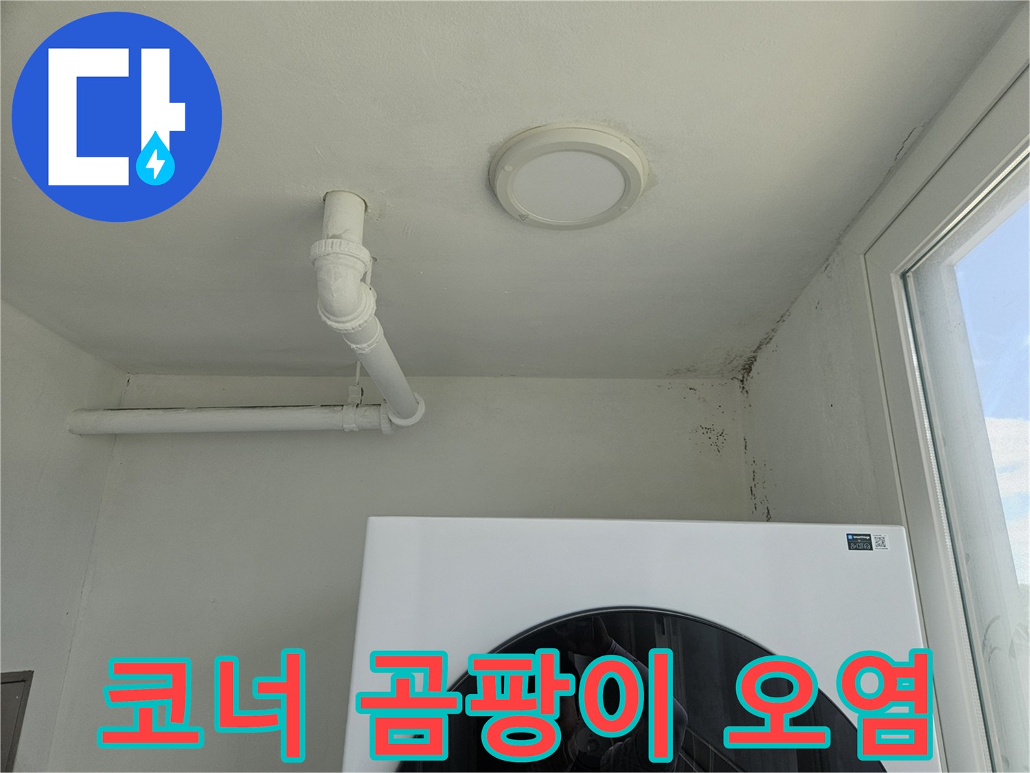 천장 모서리 부분의 젖은 흔적과 곰팡이