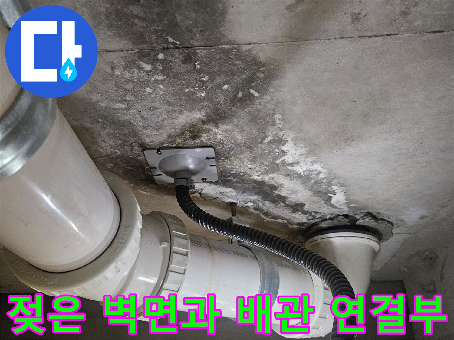 덕양구 화장실 천장-배관 주변의 습기와 곰팡이 흔적
