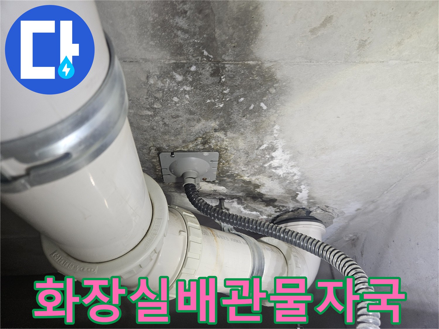 천장 배관 주위의 곰팡이와 누수 흔적 사진