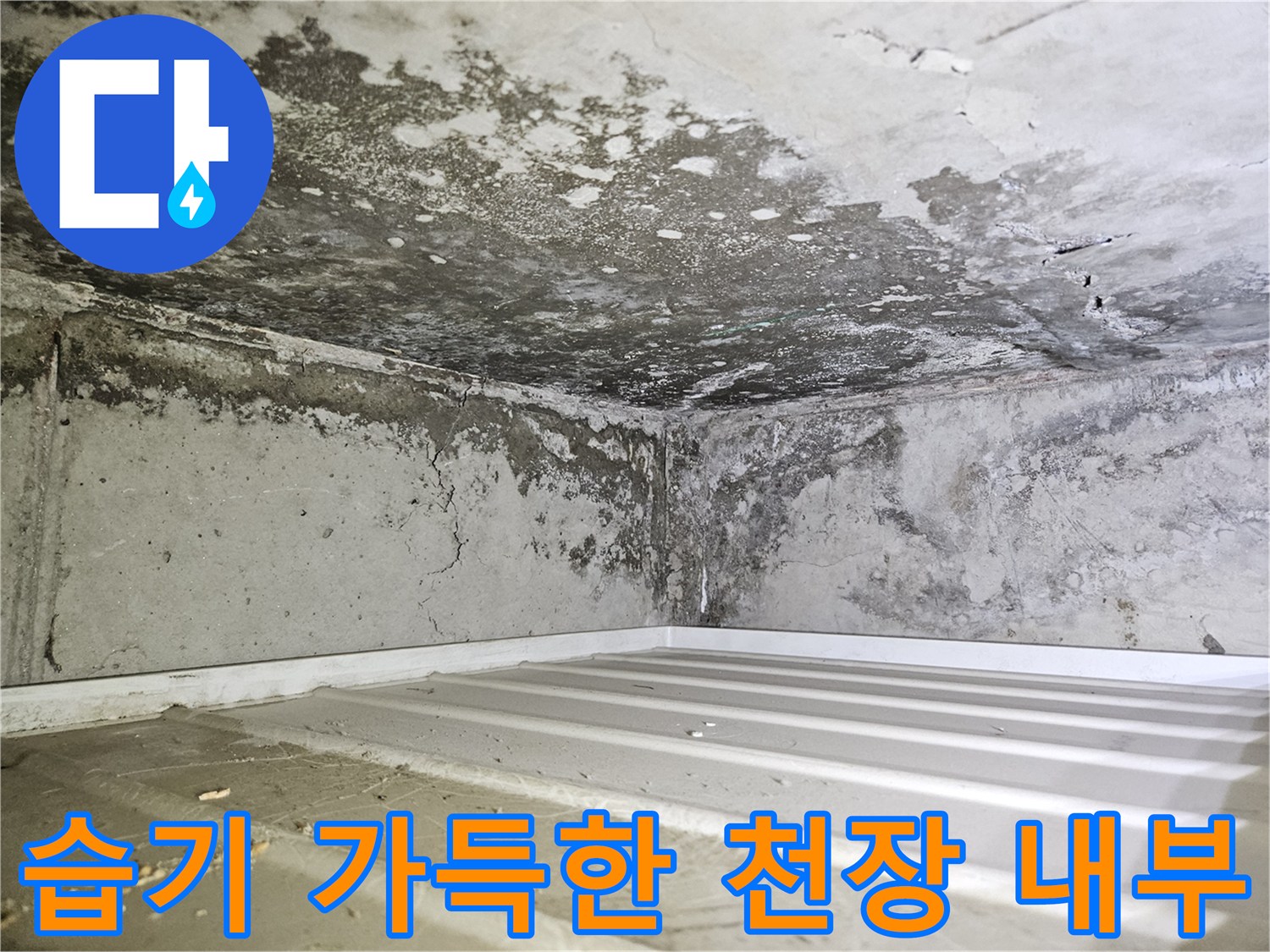 곰팡이와-습기가-발생한-화장실-천장-콘크리트
