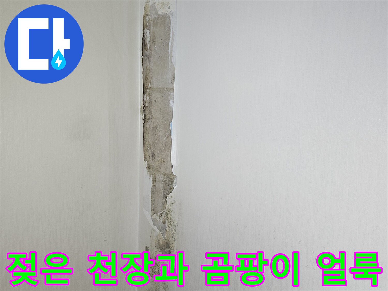 누수로 인해 변색된 천장 및 벽면 곰팡이 상태