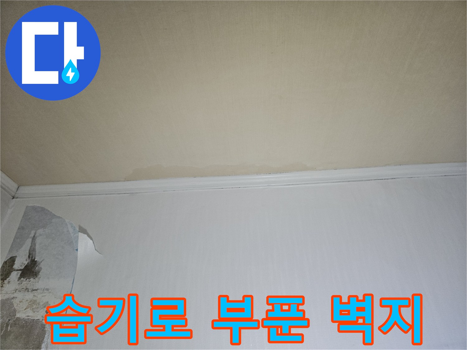 습기 침투로 인해 훼손된 아파트 내부 벽면 사진