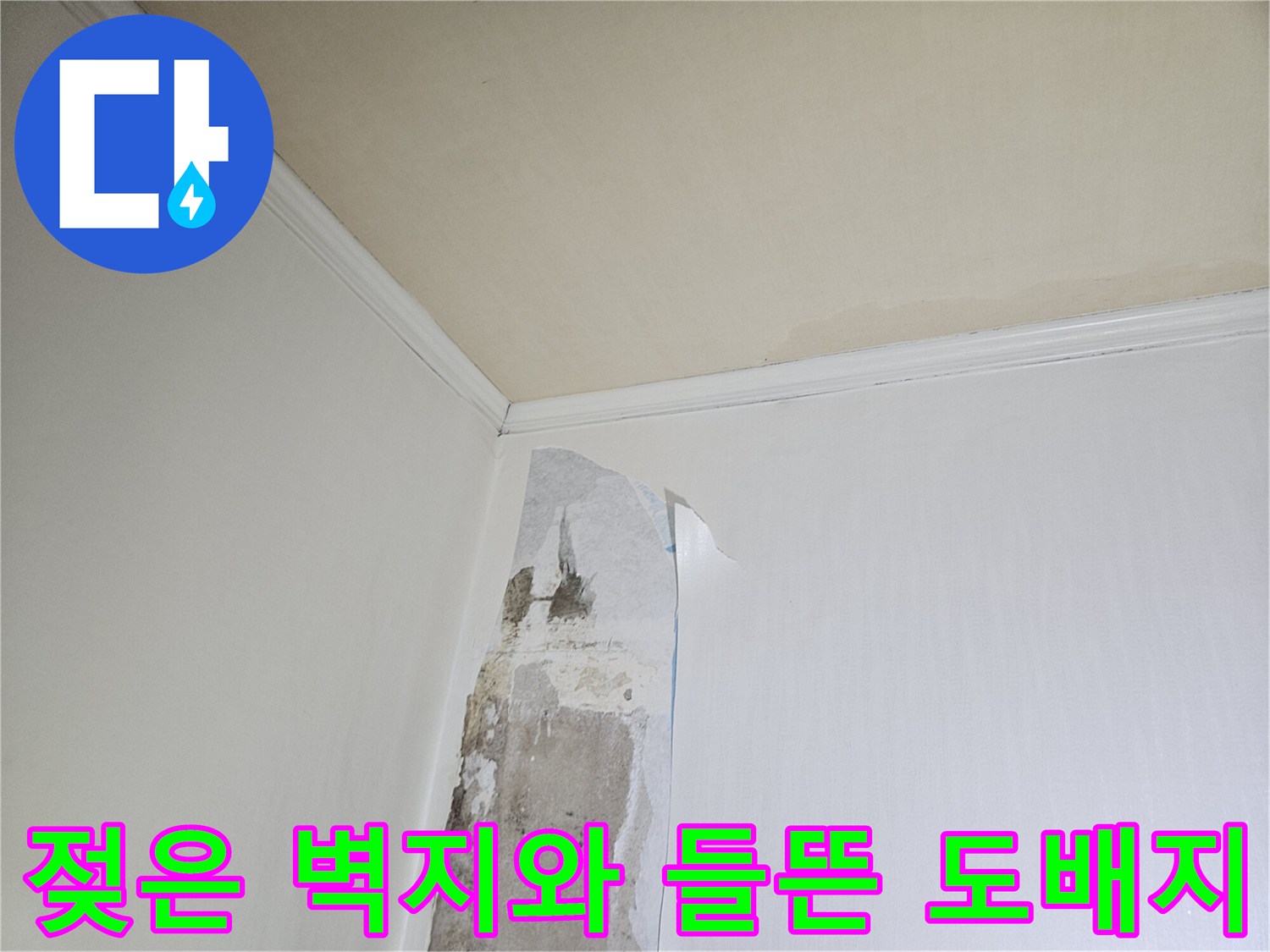 하단부-도배지가-물기에-젖어-들떠있는-모습