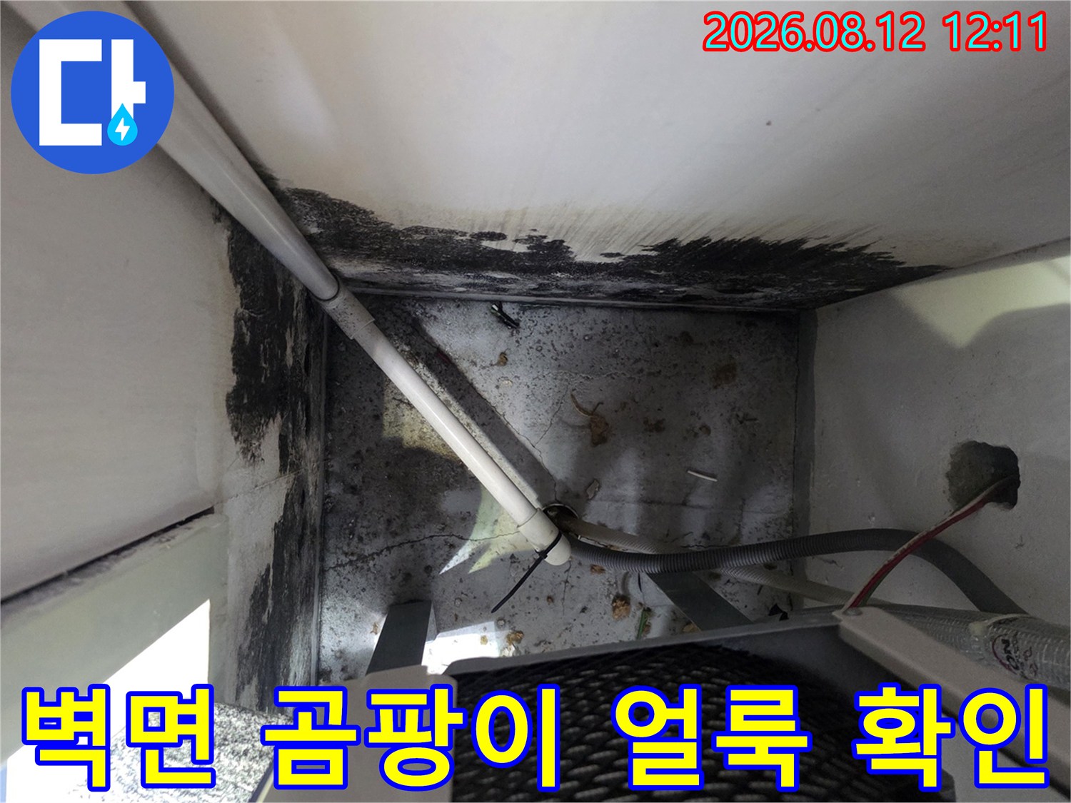 보일러 배관-주변 벽체 곰팡이 발생 현황