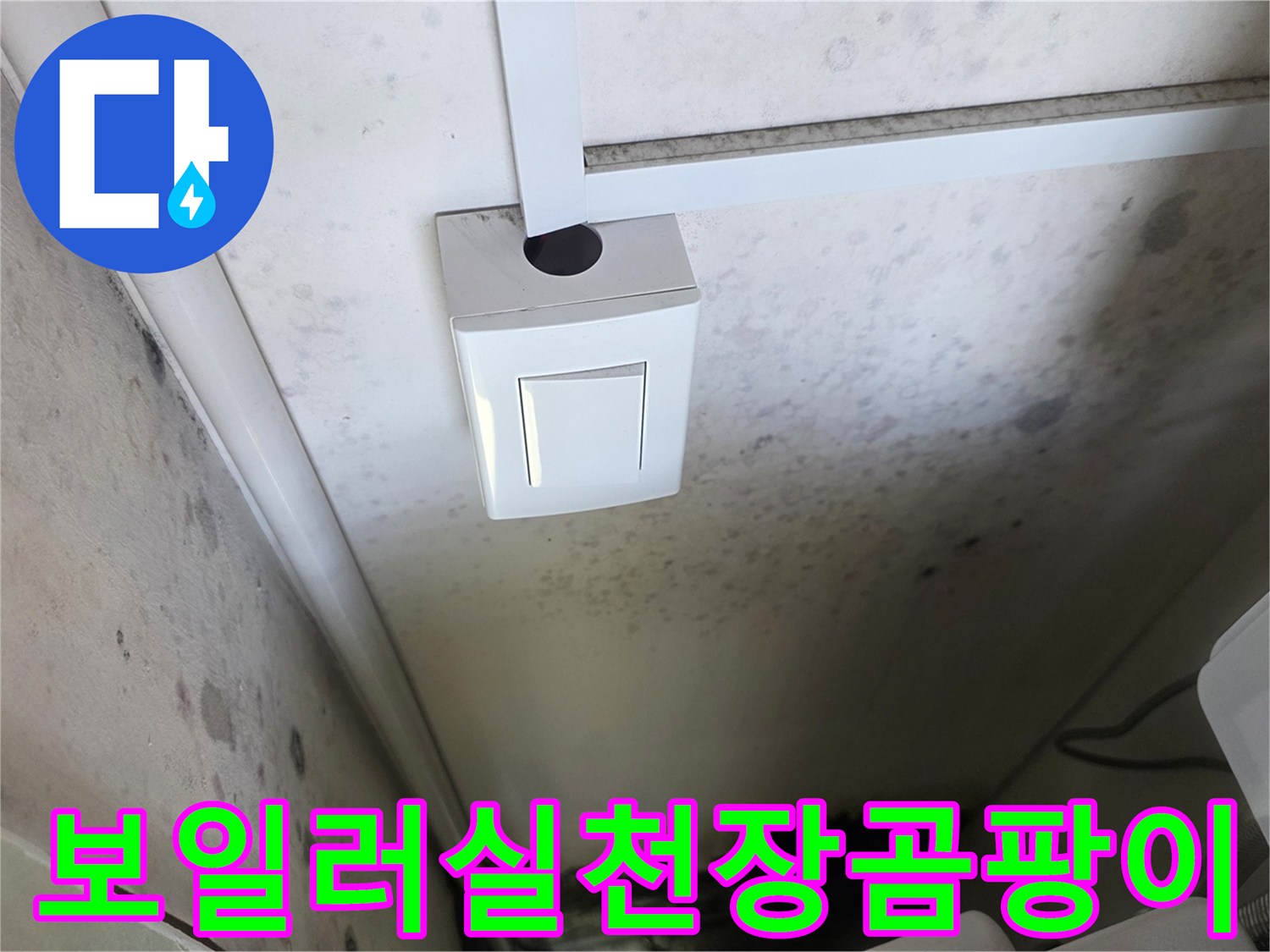 보일러실-천장-벽면에-발생한-심한-곰팡이와-습기-흔적
