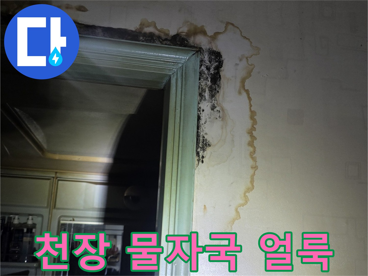 구리 인창동 아파트-천장 벽지 물자국 및 곰팡이 발생 상태