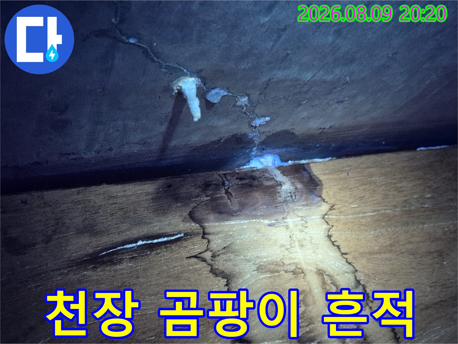 누수 발생 후 생성된 천장의 곰팡이와 얼룩