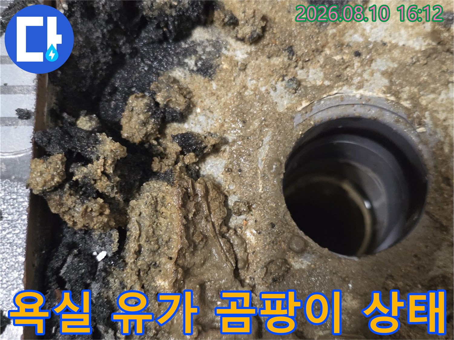 화장실 배수구 주변에 습기로 인한 검은색 곰팡이가 넓게 퍼져 있습니다.