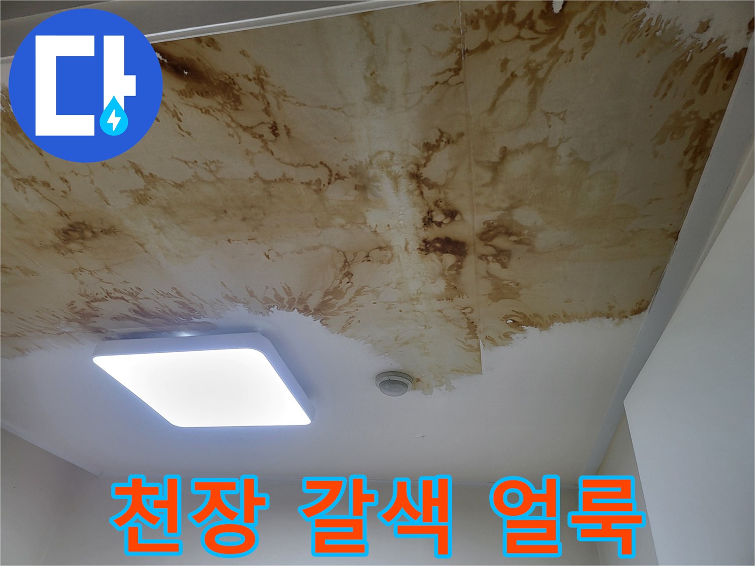 성북구-상월곡동-아파트-천장-배관-누수-흔적