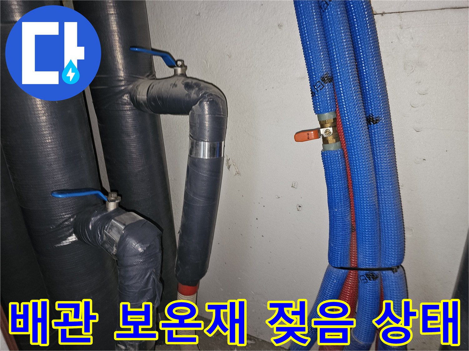 보온재로 감싸진 검은색 배관과 파란색 CD관 주변의 젖어있는 모습 - 누수 지점 확인 과정