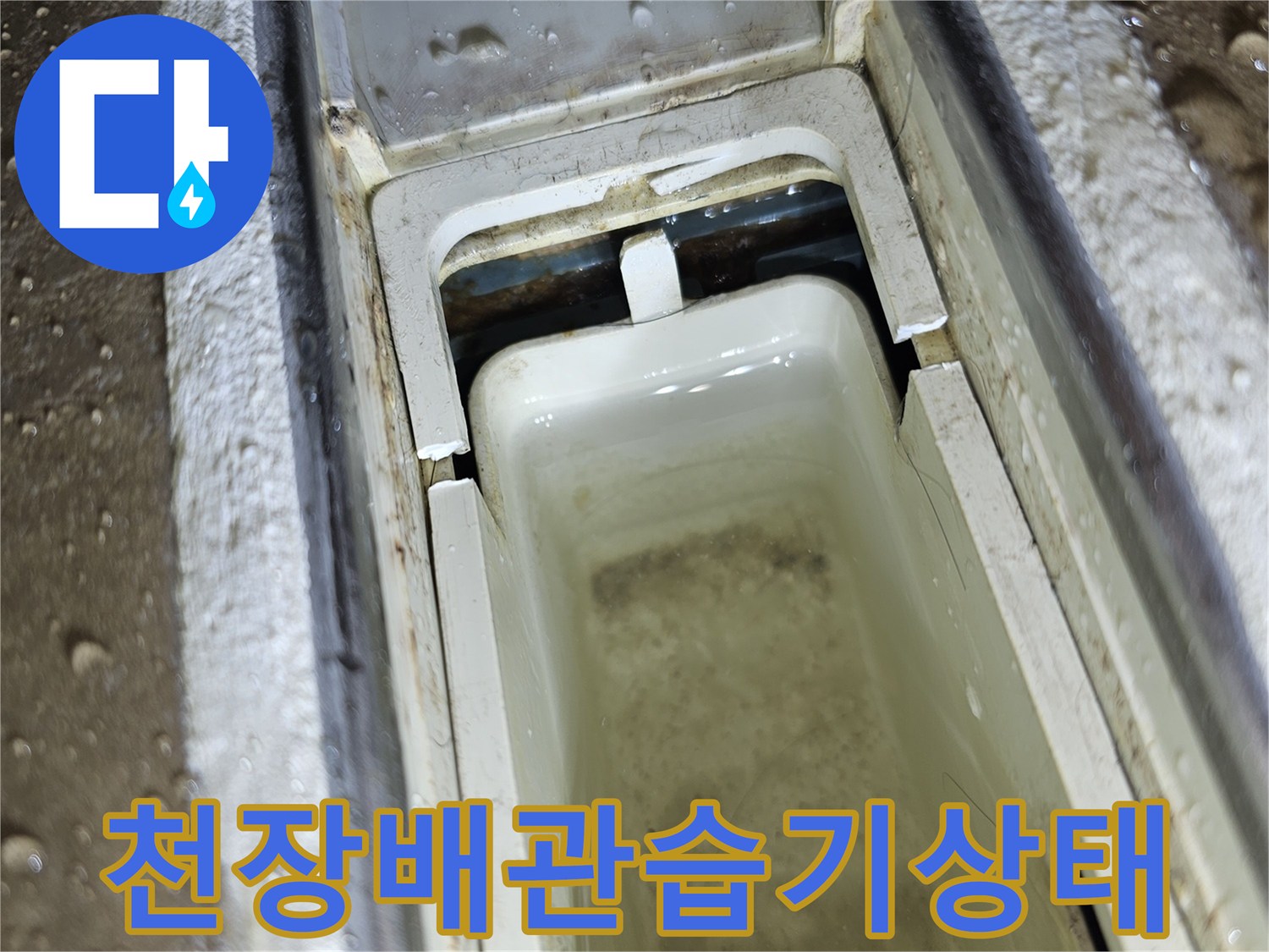 천장-점검구-내부-배관-주변의-습기와-물고임-현상